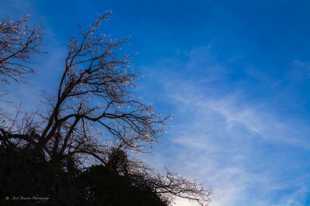 Ice Crystals on Palomar-8225.jpg